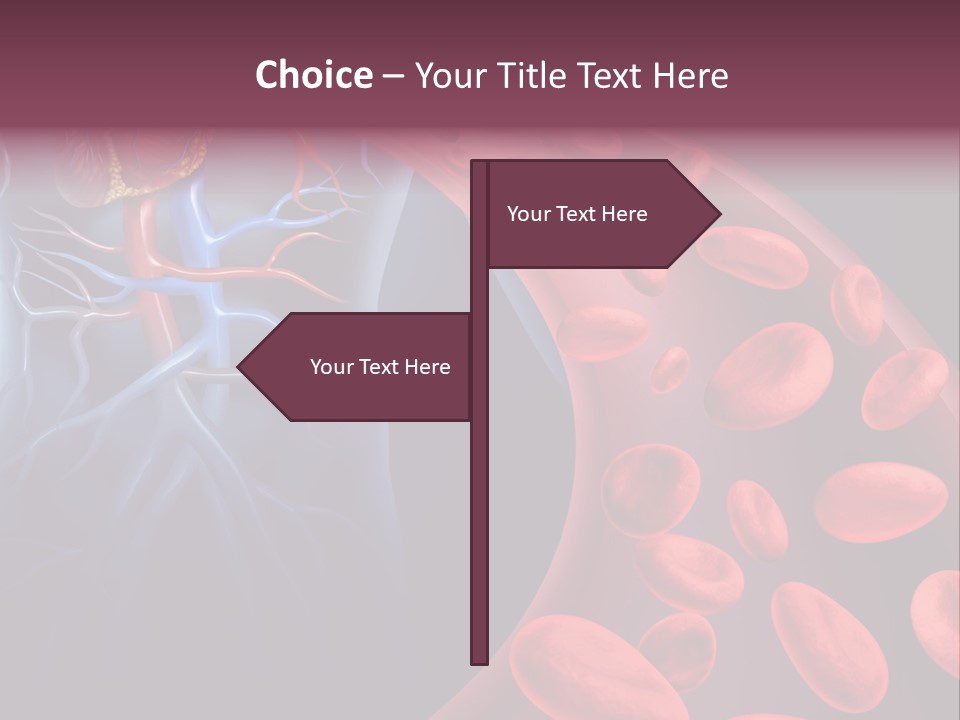 A Blood Flow Powerpoint Presentation Is Shown PowerPoint Template