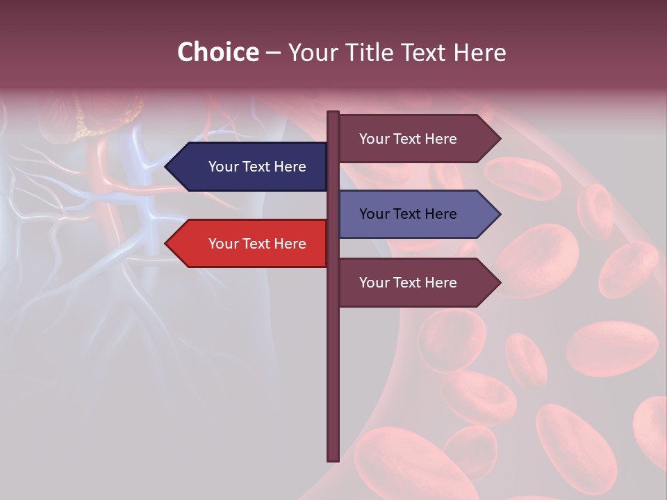 A Blood Flow Powerpoint Presentation Is Shown PowerPoint Template