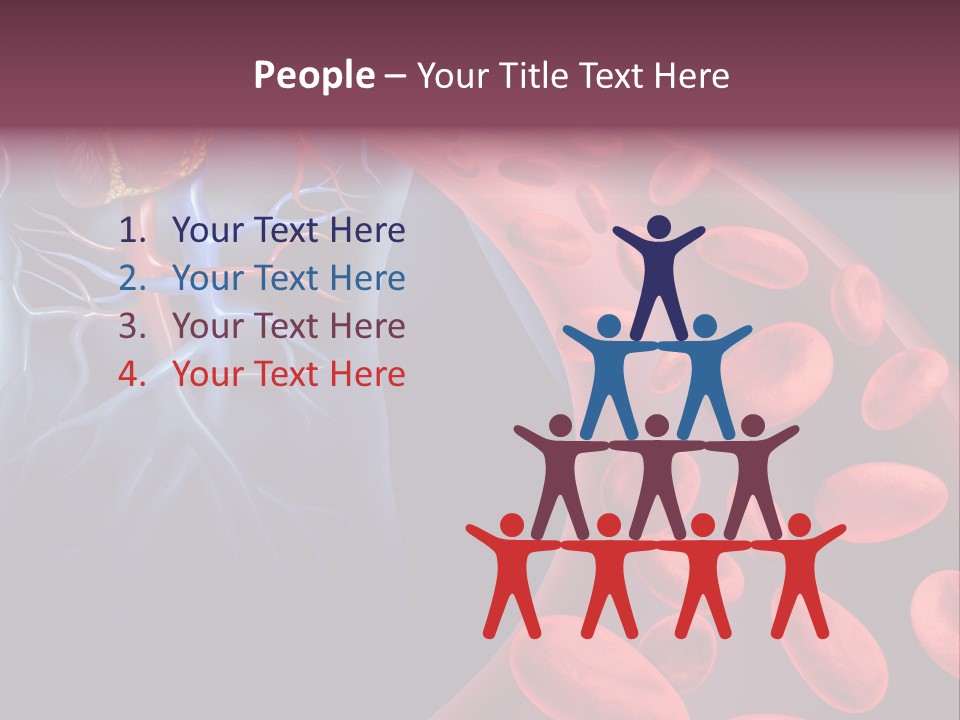 A Blood Flow Powerpoint Presentation Is Shown PowerPoint Template