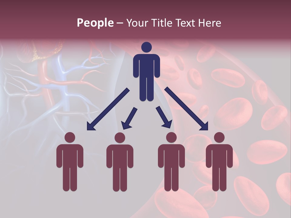 A Blood Flow Powerpoint Presentation Is Shown PowerPoint Template
