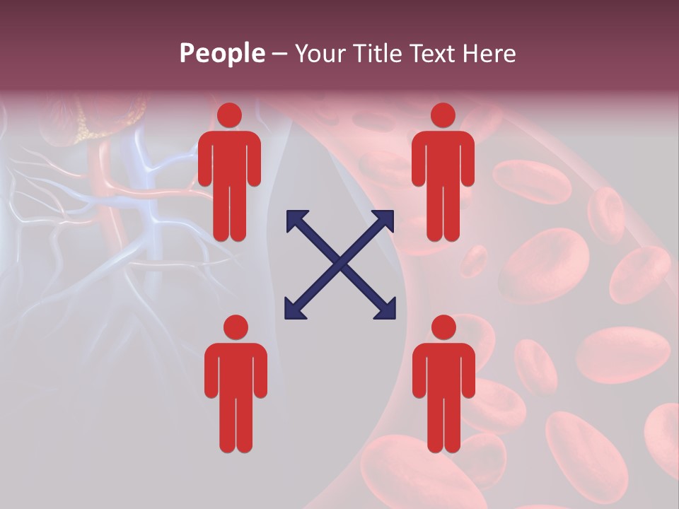A Blood Flow Powerpoint Presentation Is Shown PowerPoint Template