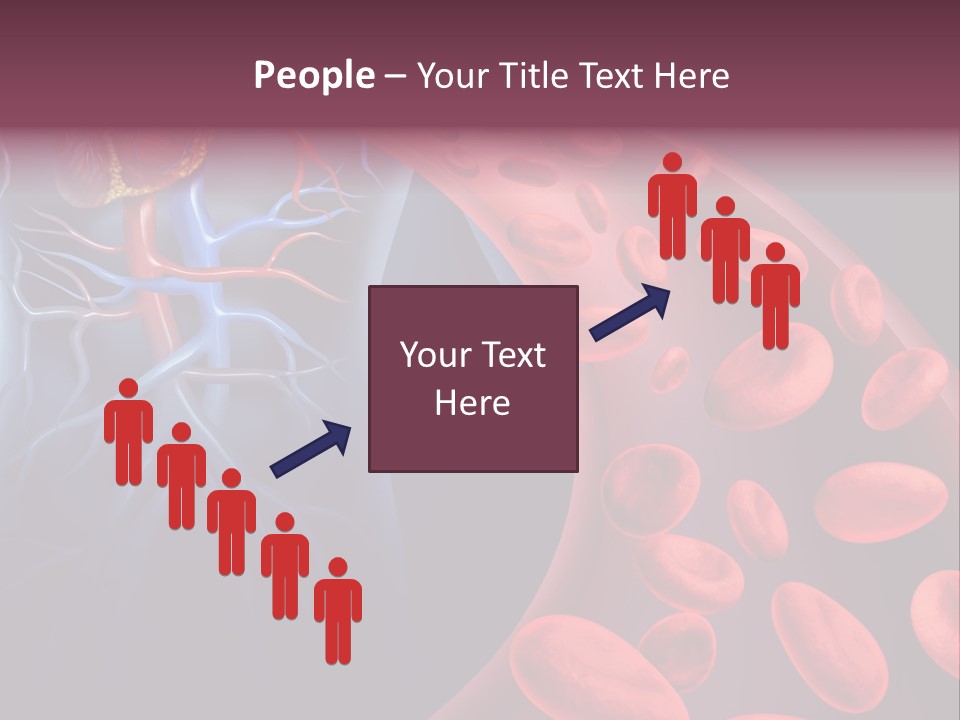 A Blood Flow Powerpoint Presentation Is Shown PowerPoint Template