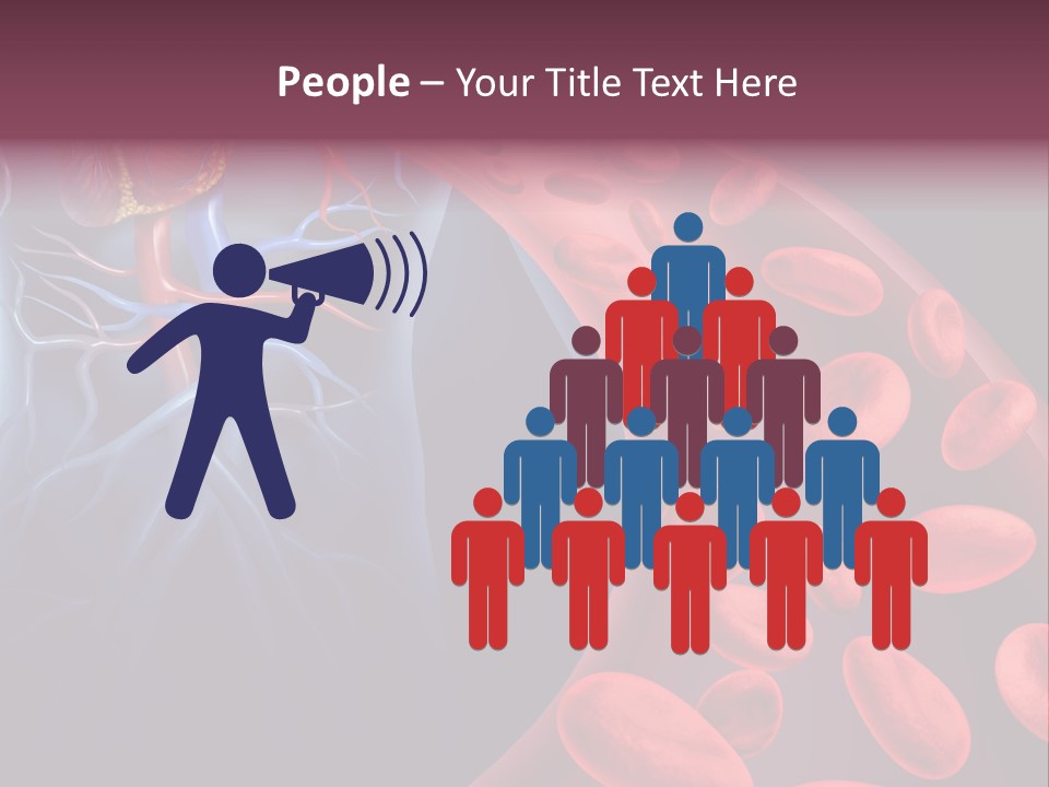 A Blood Flow Powerpoint Presentation Is Shown PowerPoint Template