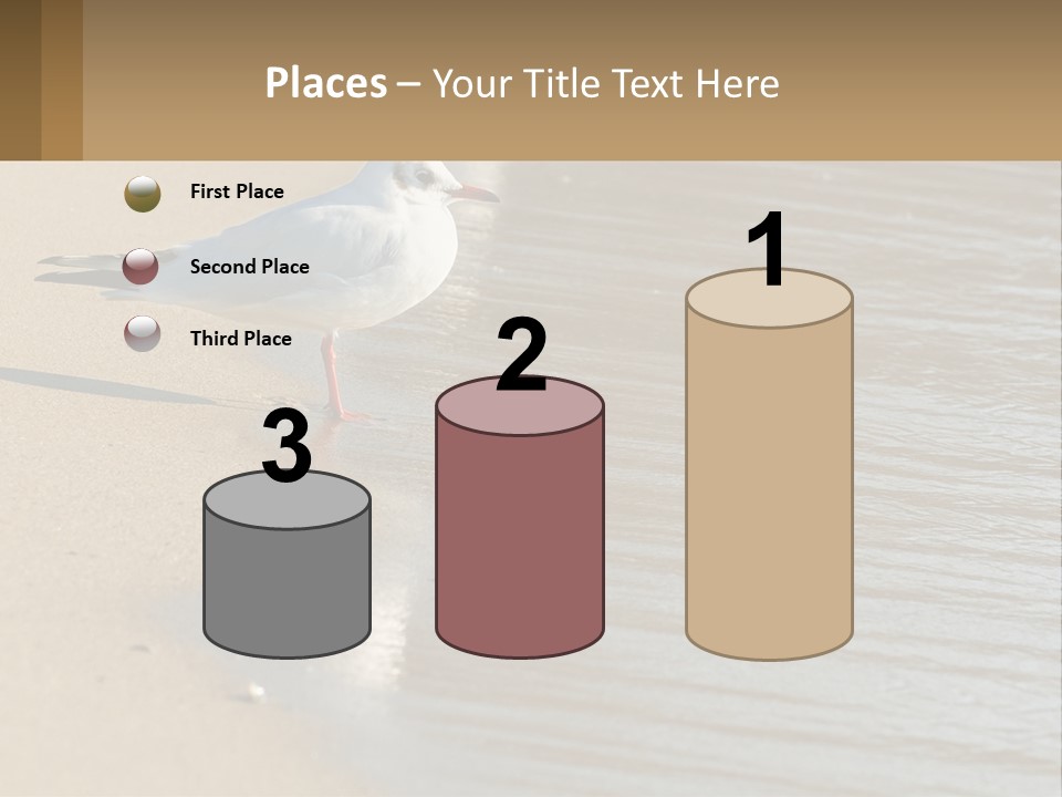 A Seagull Standing On The Sand Of A Beach PowerPoint Template