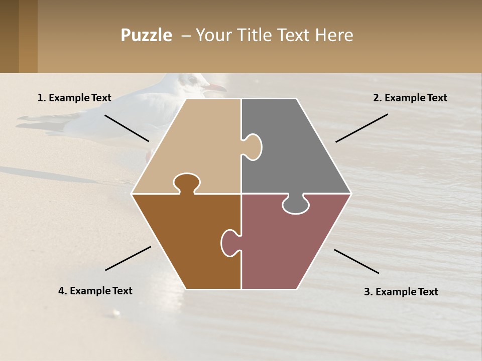 A Seagull Standing On The Sand Of A Beach PowerPoint Template