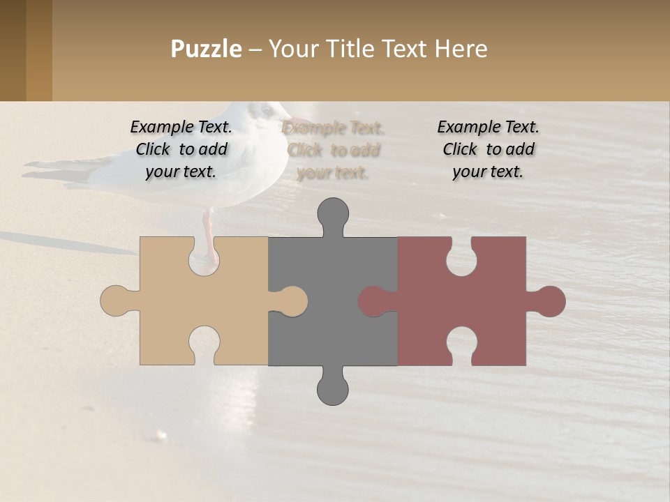 A Seagull Standing On The Sand Of A Beach PowerPoint Template