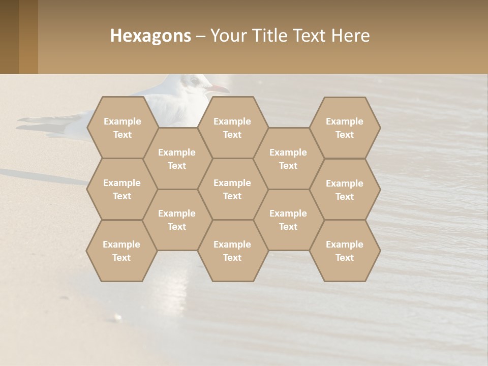 A Seagull Standing On The Sand Of A Beach PowerPoint Template