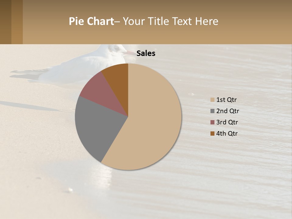 A Seagull Standing On The Sand Of A Beach PowerPoint Template