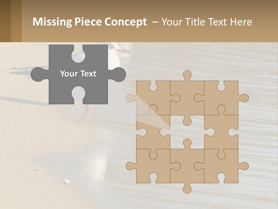 A Seagull Standing On The Sand Of A Beach PowerPoint Template