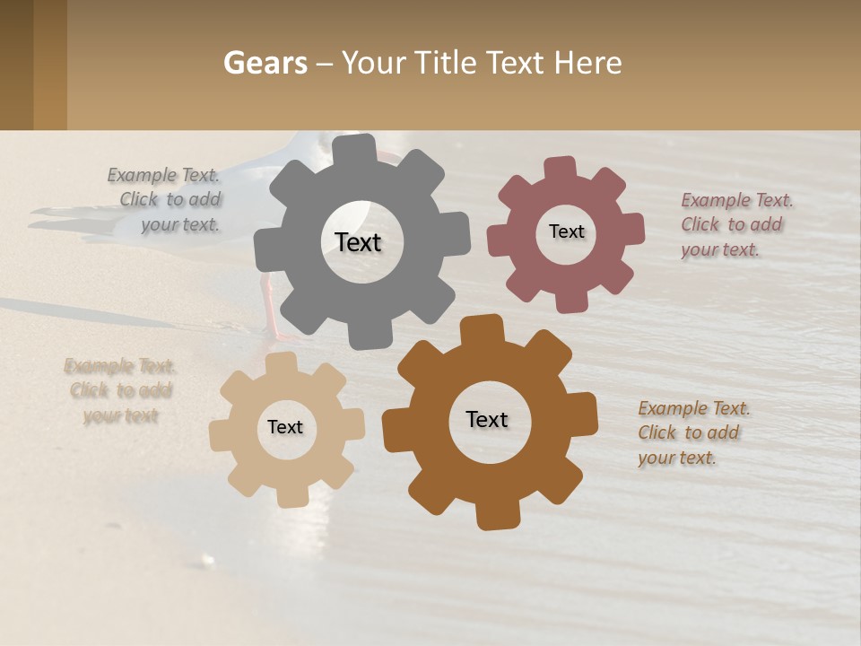 A Seagull Standing On The Sand Of A Beach PowerPoint Template