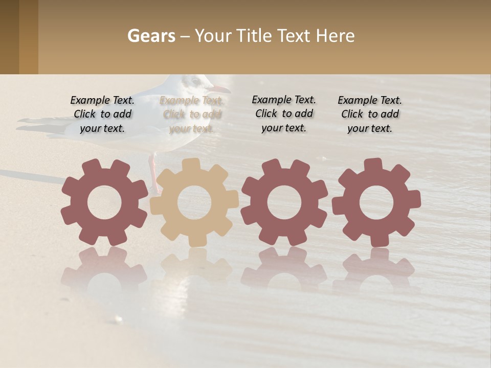 A Seagull Standing On The Sand Of A Beach PowerPoint Template