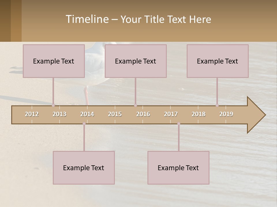 A Seagull Standing On The Sand Of A Beach PowerPoint Template