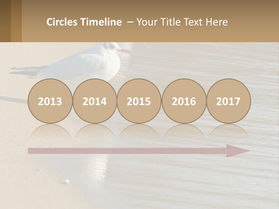 A Seagull Standing On The Sand Of A Beach PowerPoint Template