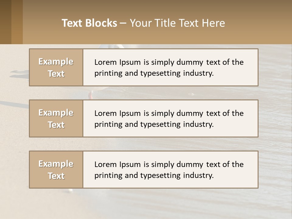 A Seagull Standing On The Sand Of A Beach PowerPoint Template