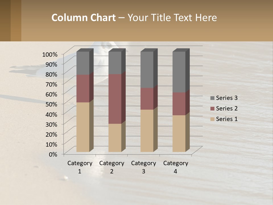 A Seagull Standing On The Sand Of A Beach PowerPoint Template