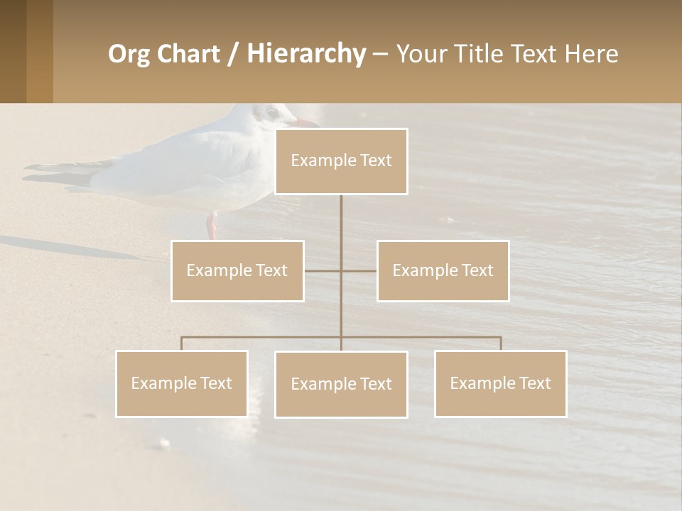 A Seagull Standing On The Sand Of A Beach PowerPoint Template