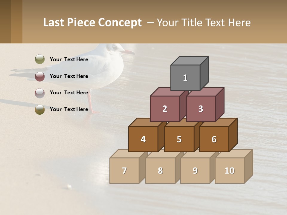 A Seagull Standing On The Sand Of A Beach PowerPoint Template