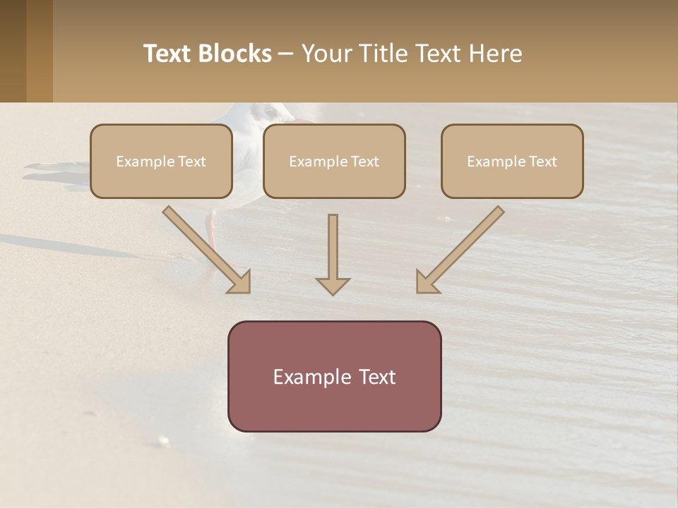 A Seagull Standing On The Sand Of A Beach PowerPoint Template