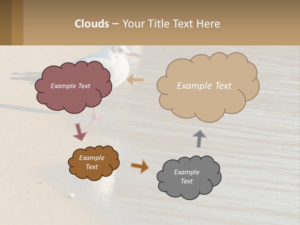 A Seagull Standing On The Sand Of A Beach PowerPoint Template