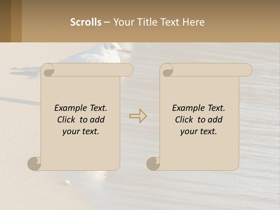 A Seagull Standing On The Sand Of A Beach PowerPoint Template