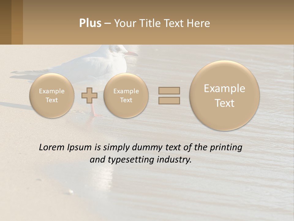A Seagull Standing On The Sand Of A Beach PowerPoint Template