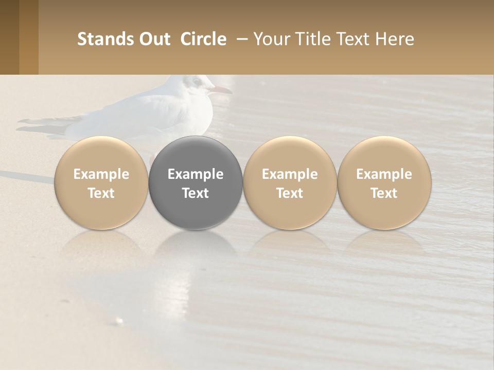 A Seagull Standing On The Sand Of A Beach PowerPoint Template