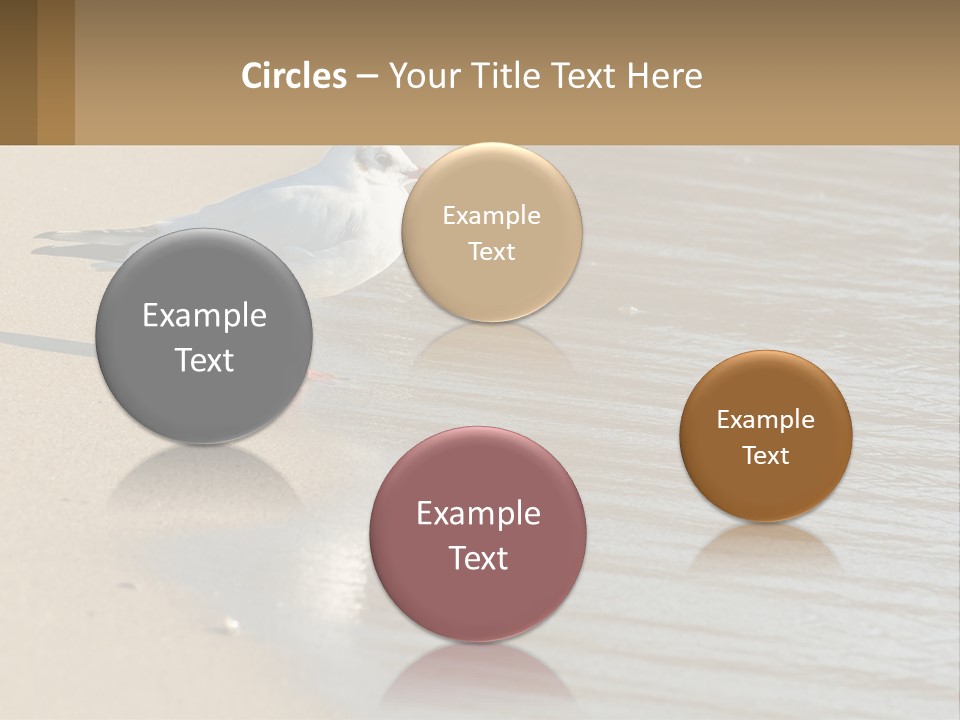 A Seagull Standing On The Sand Of A Beach PowerPoint Template