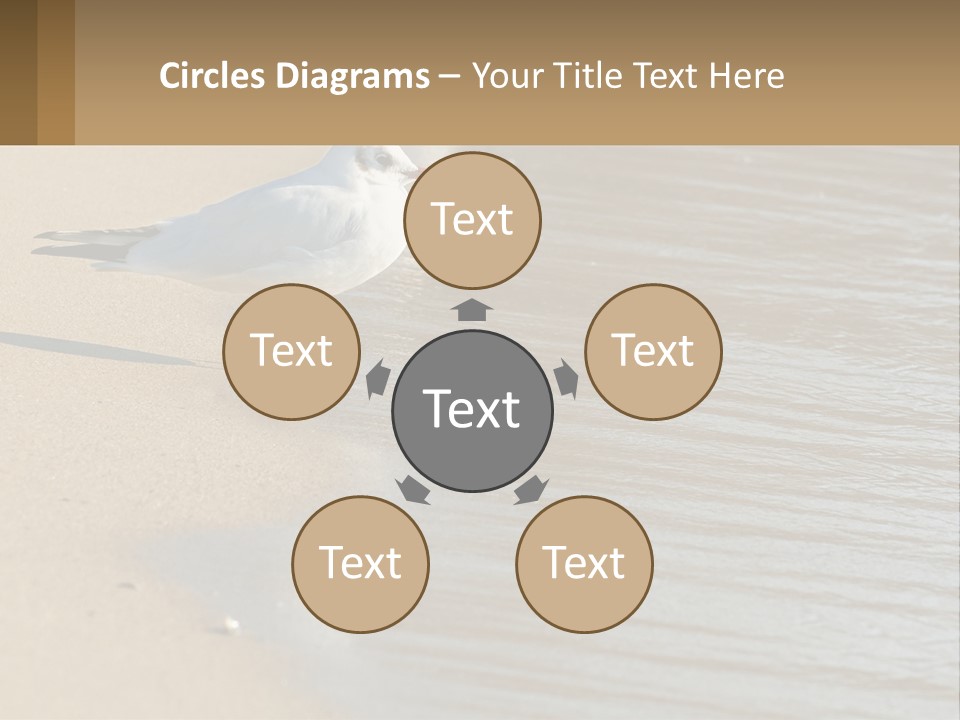 A Seagull Standing On The Sand Of A Beach PowerPoint Template