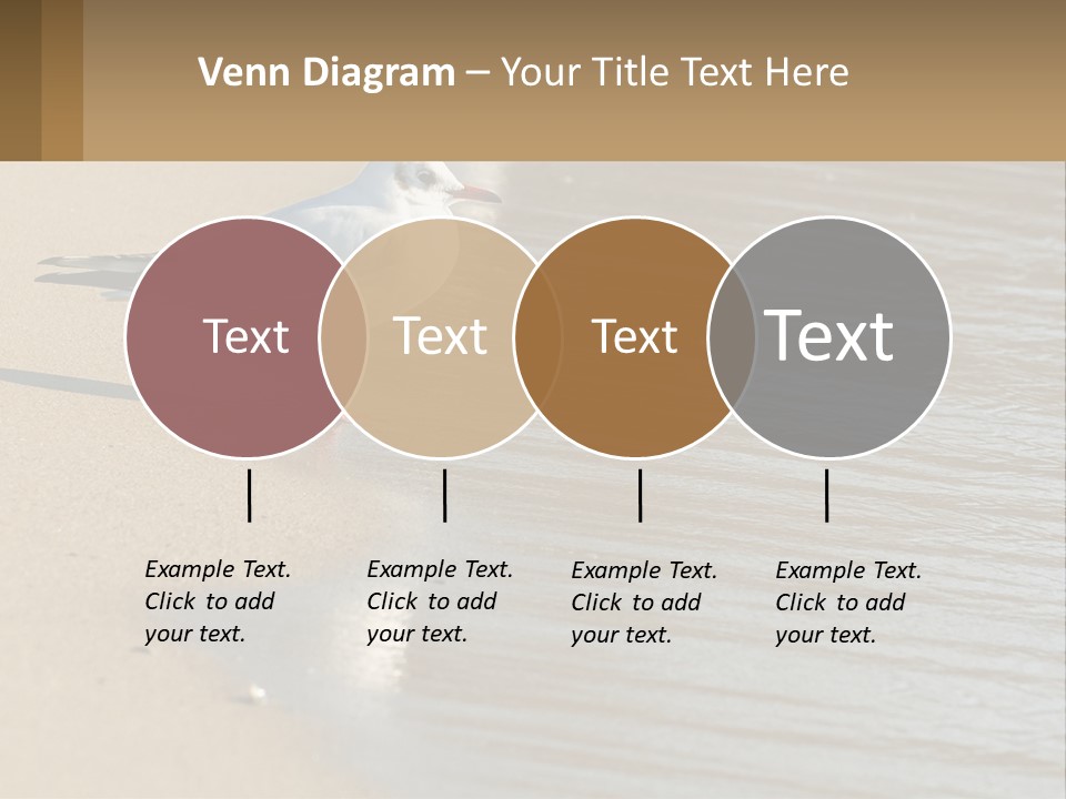 A Seagull Standing On The Sand Of A Beach PowerPoint Template