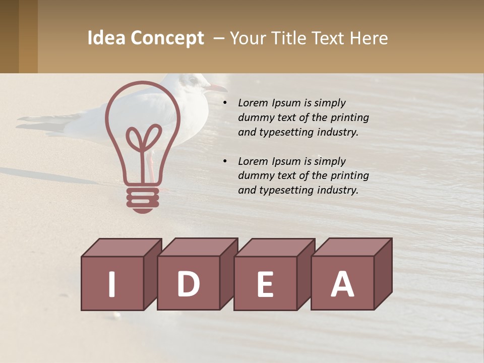 A Seagull Standing On The Sand Of A Beach PowerPoint Template