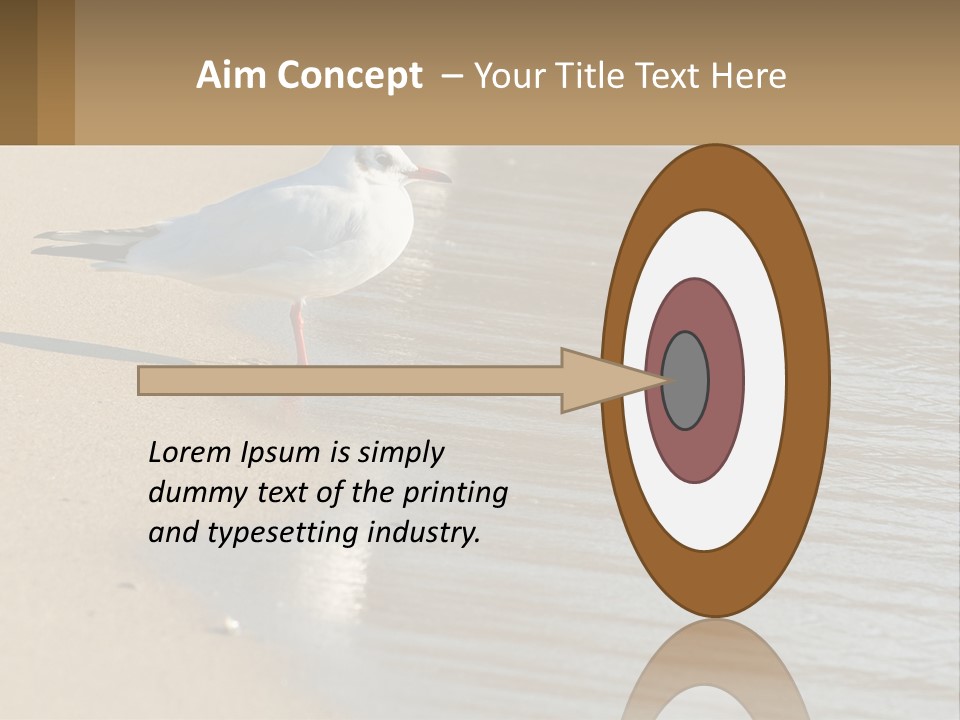 A Seagull Standing On The Sand Of A Beach PowerPoint Template