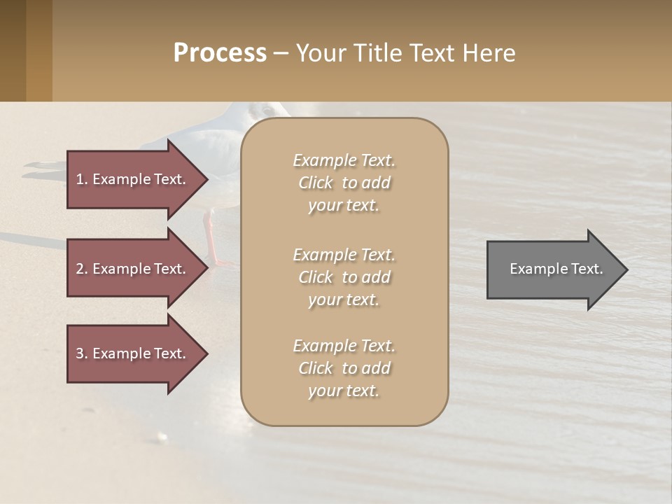 A Seagull Standing On The Sand Of A Beach PowerPoint Template
