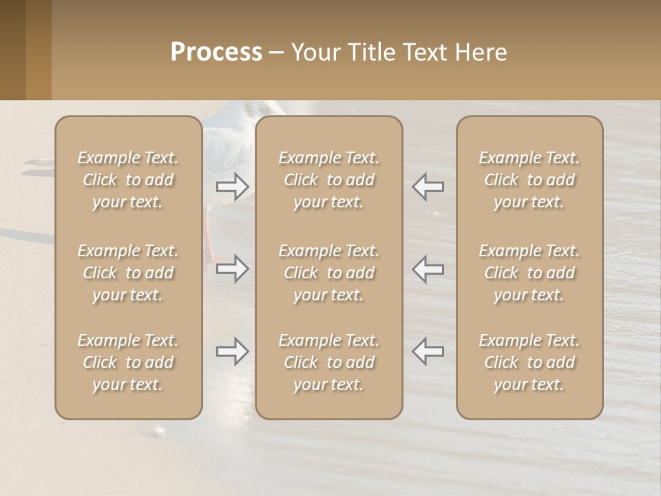 A Seagull Standing On The Sand Of A Beach PowerPoint Template