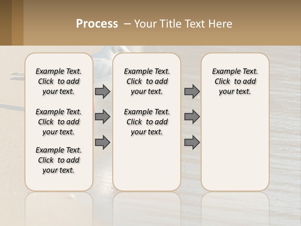 A Seagull Standing On The Sand Of A Beach PowerPoint Template