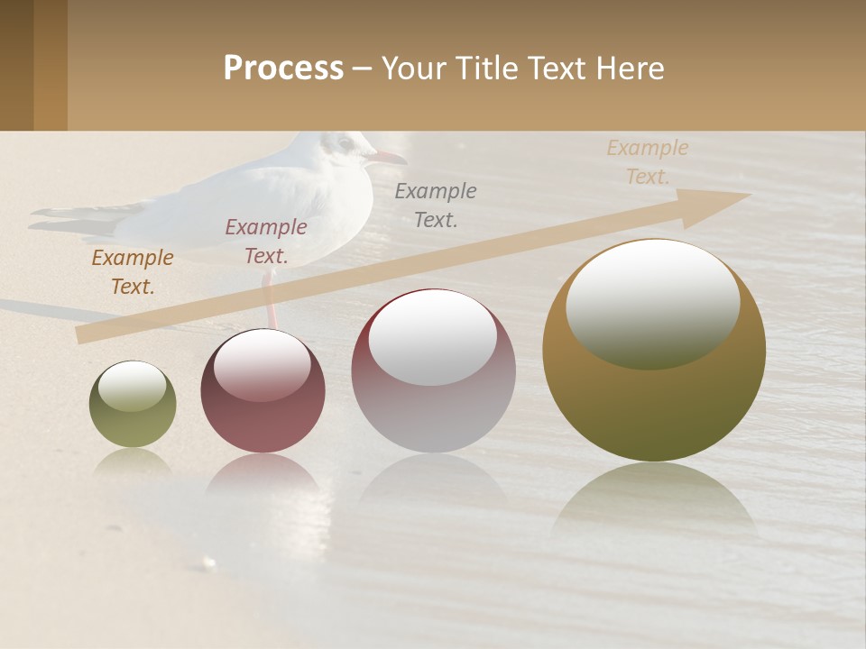 A Seagull Standing On The Sand Of A Beach PowerPoint Template