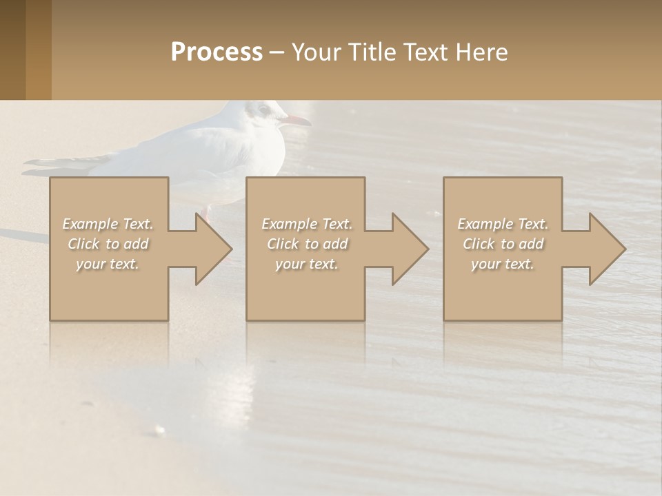 A Seagull Standing On The Sand Of A Beach PowerPoint Template