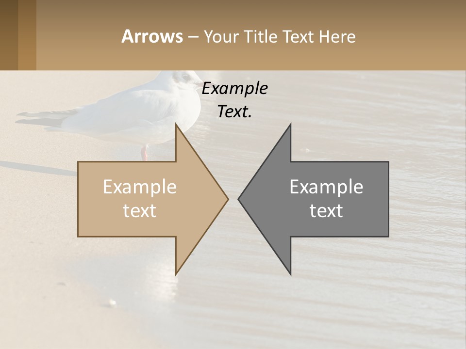 A Seagull Standing On The Sand Of A Beach PowerPoint Template