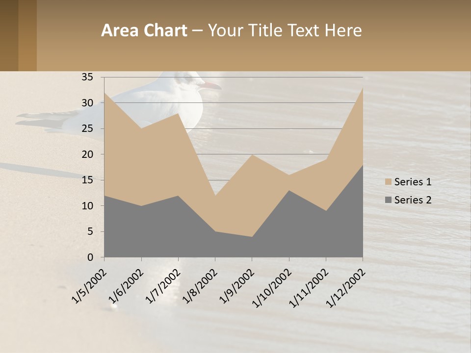 A Seagull Standing On The Sand Of A Beach PowerPoint Template
