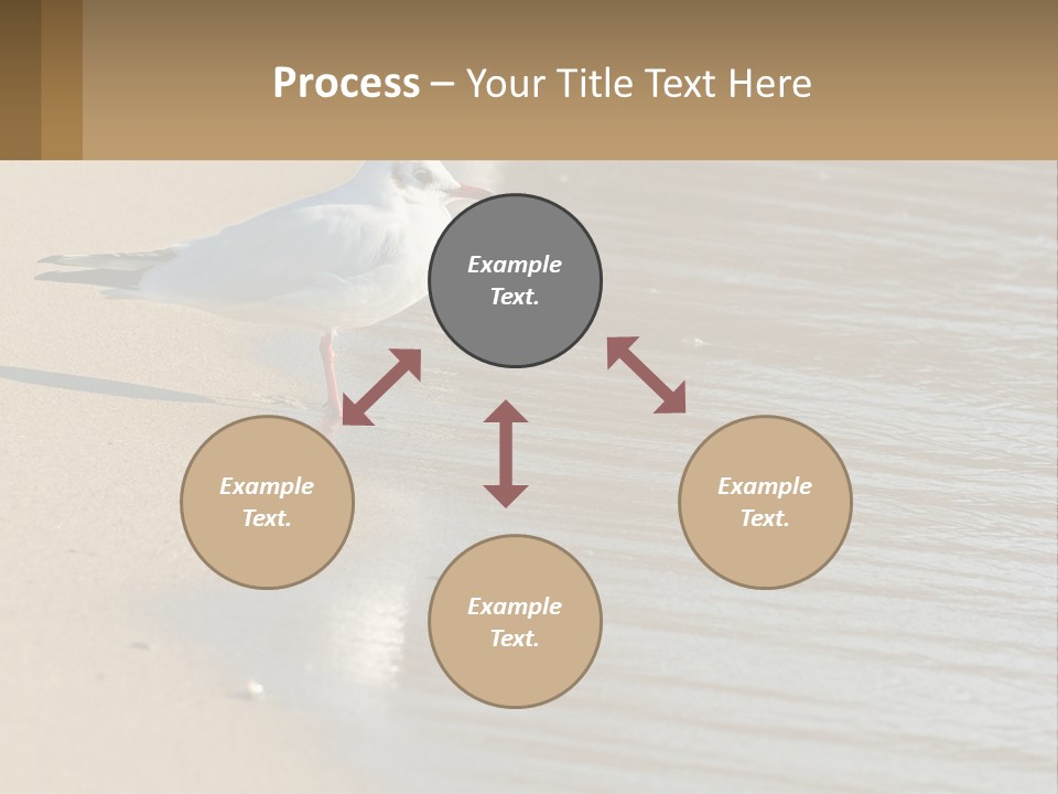 A Seagull Standing On The Sand Of A Beach PowerPoint Template