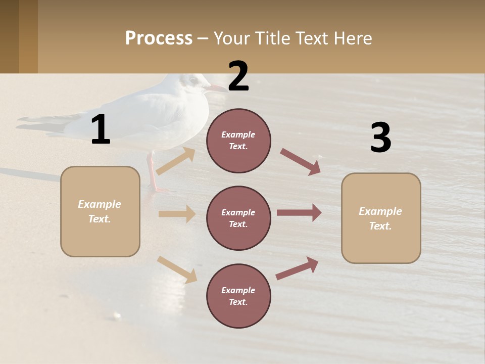 A Seagull Standing On The Sand Of A Beach PowerPoint Template