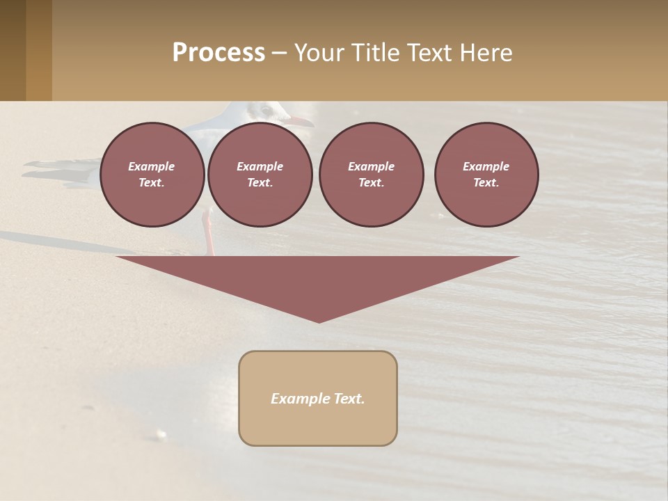 A Seagull Standing On The Sand Of A Beach PowerPoint Template