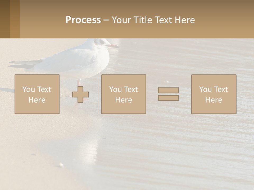 A Seagull Standing On The Sand Of A Beach PowerPoint Template