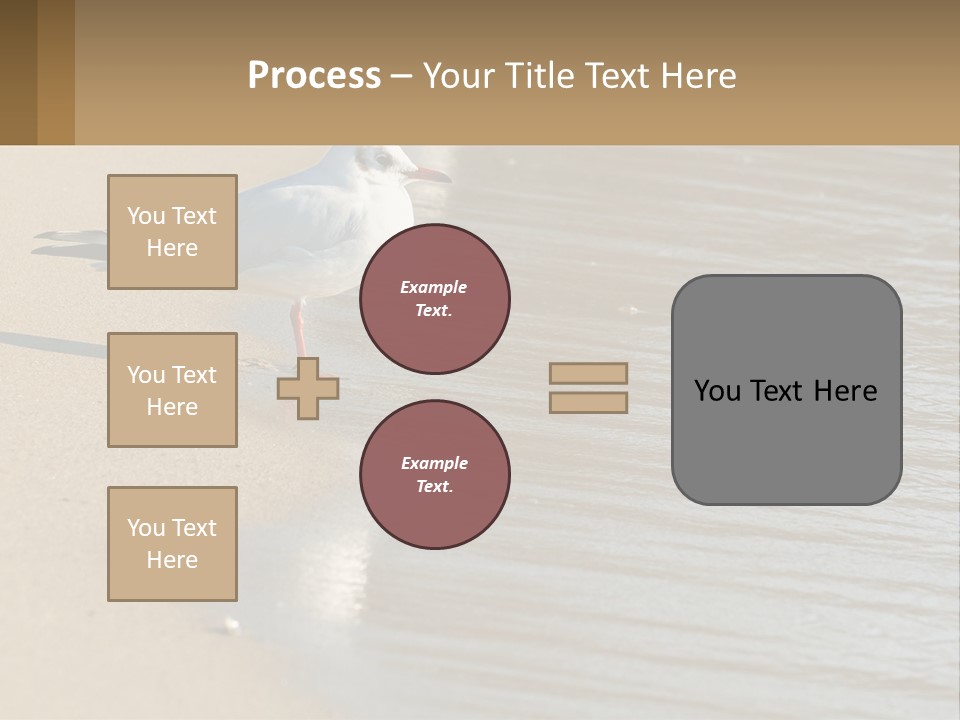 A Seagull Standing On The Sand Of A Beach PowerPoint Template