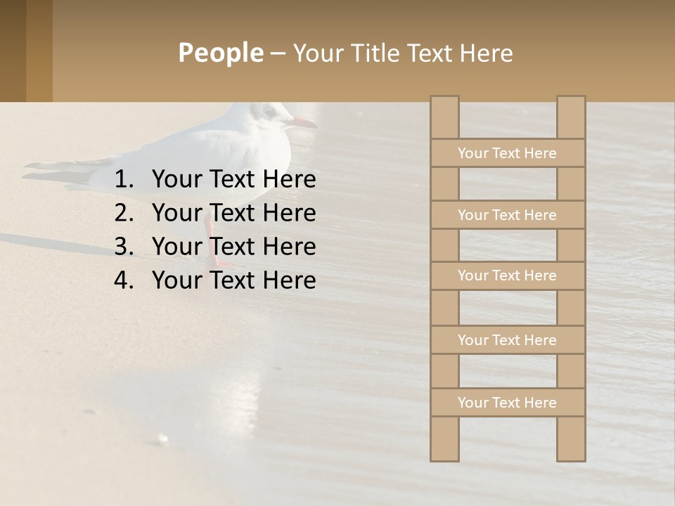 A Seagull Standing On The Sand Of A Beach PowerPoint Template