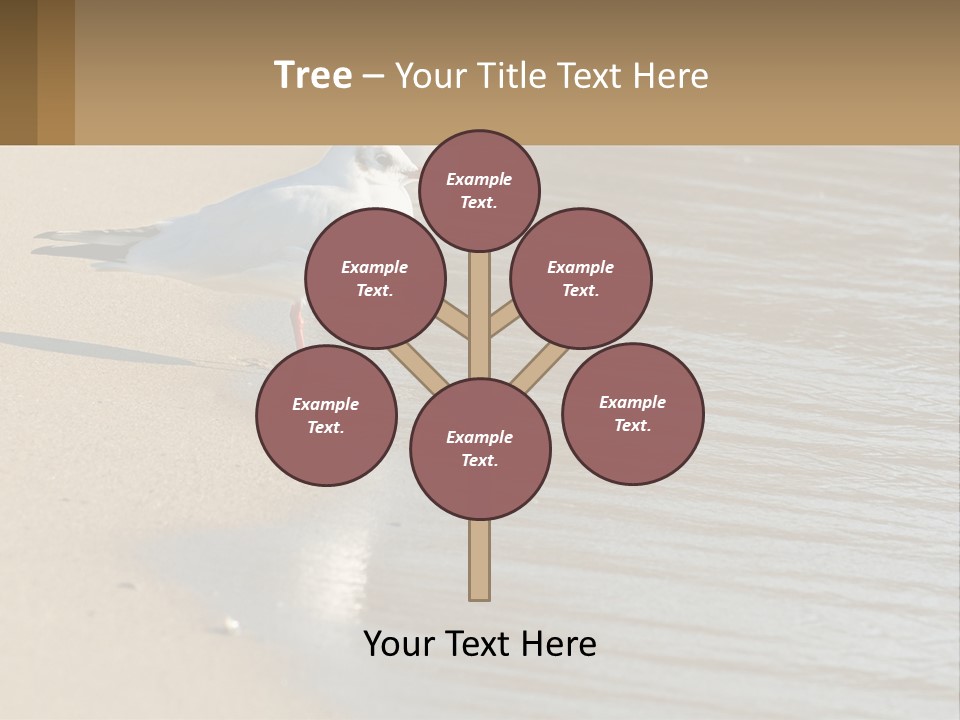 A Seagull Standing On The Sand Of A Beach PowerPoint Template