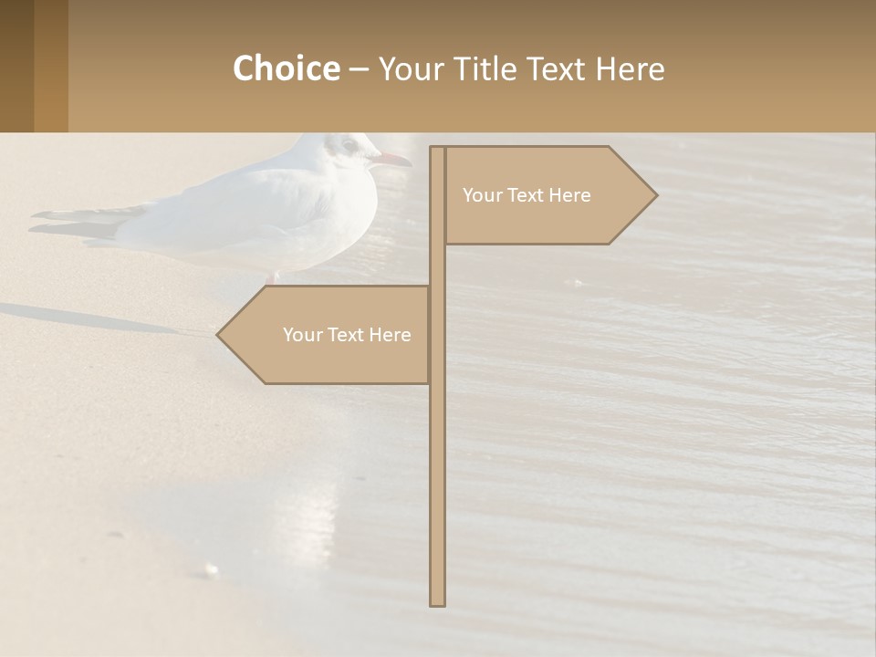 A Seagull Standing On The Sand Of A Beach PowerPoint Template
