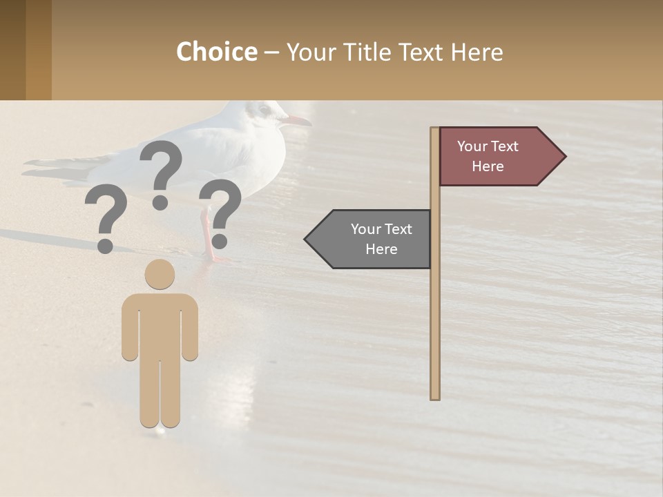 A Seagull Standing On The Sand Of A Beach PowerPoint Template