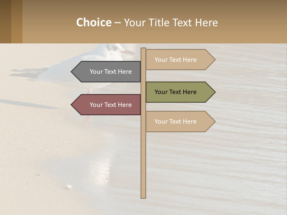 A Seagull Standing On The Sand Of A Beach PowerPoint Template