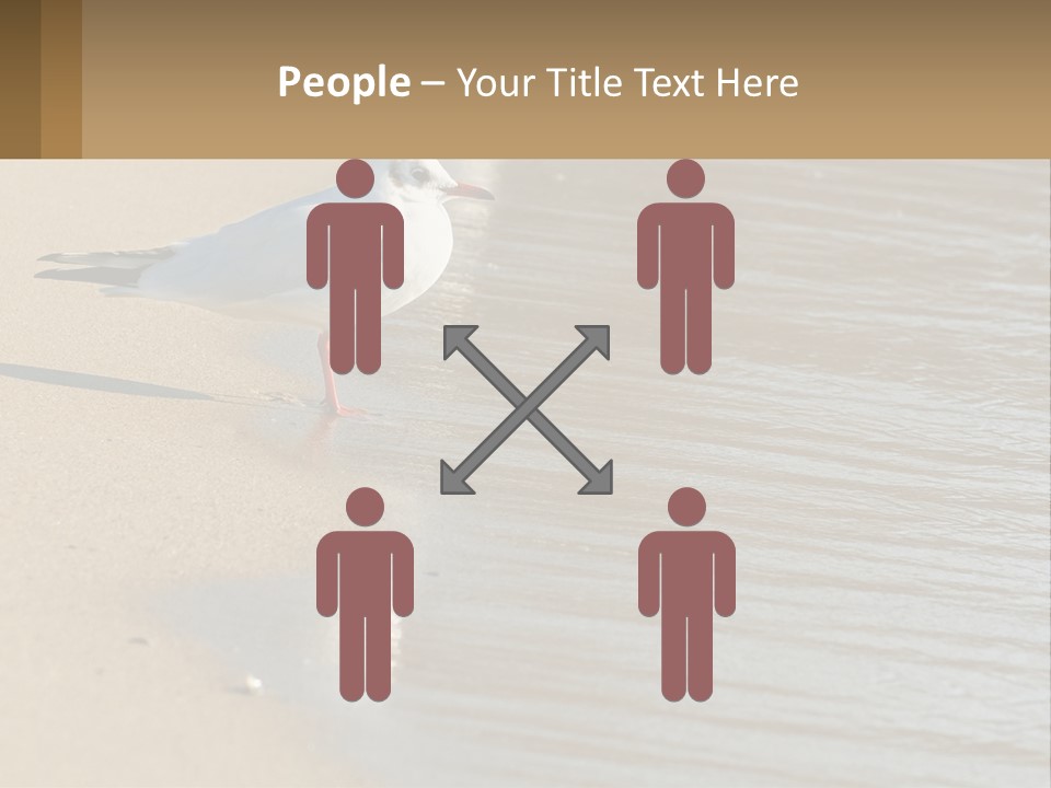 A Seagull Standing On The Sand Of A Beach PowerPoint Template