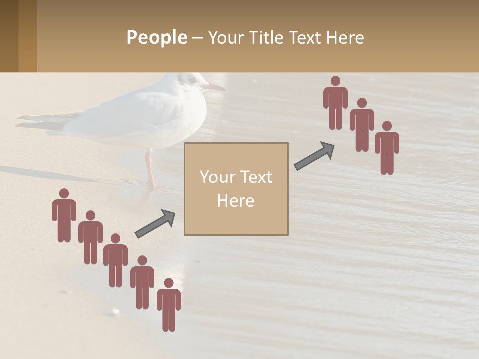 A Seagull Standing On The Sand Of A Beach PowerPoint Template